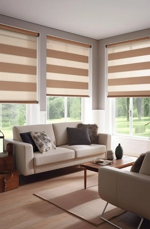 Striped beige zebra roman blinds living