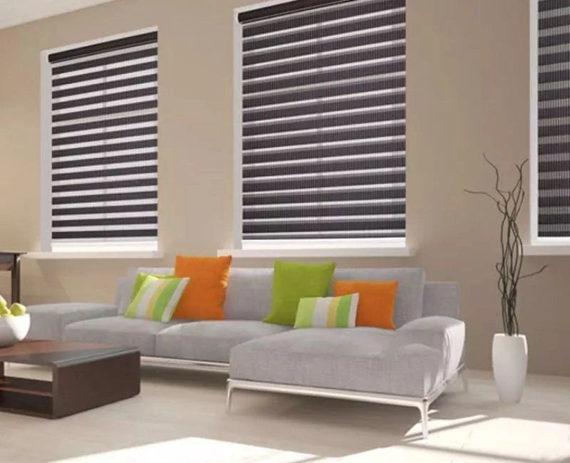 Black zebra blinds living room windows
