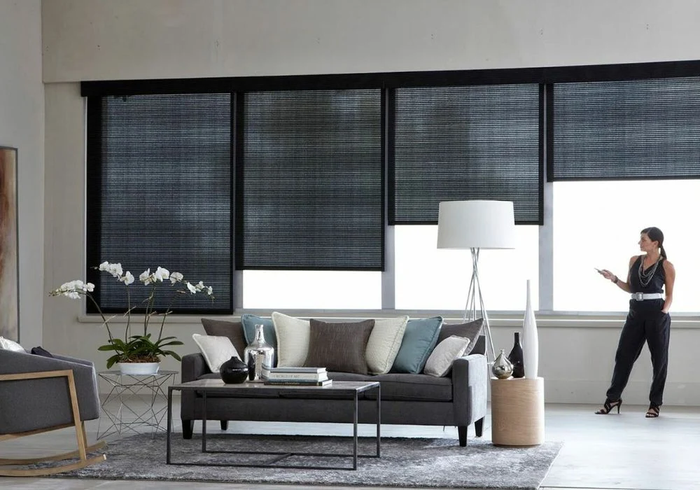 Dark motorized living room roller blinds
