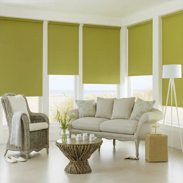 Olive green roller blinds living room