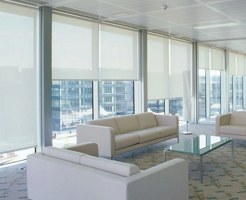 White sheer fabric office roller blinds