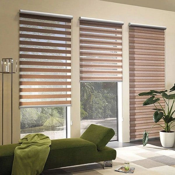 Modern brown zebra blinds green couch