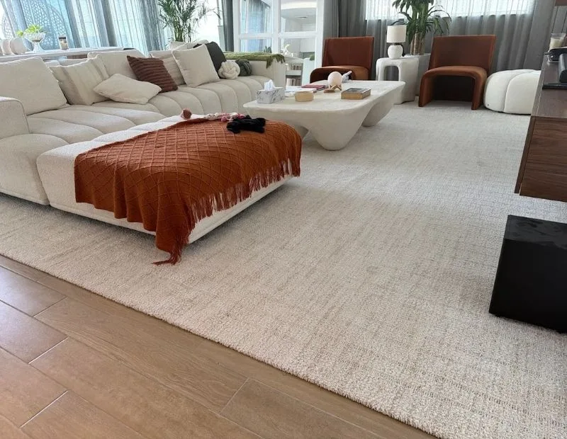 Modern living room with plush cream carpet