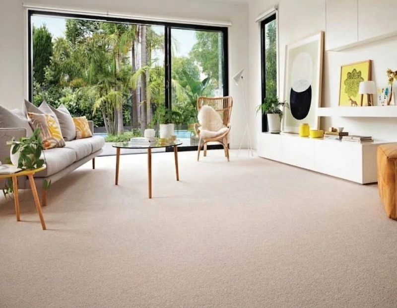Bright living room with soft beige carpet