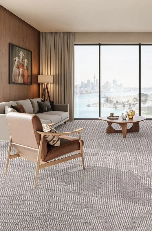 Modern living room with textured grey carpet